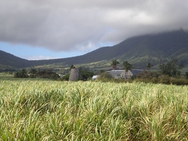 St Kitts Train Ride22